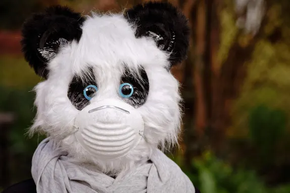 카지노 마스 벳 지원